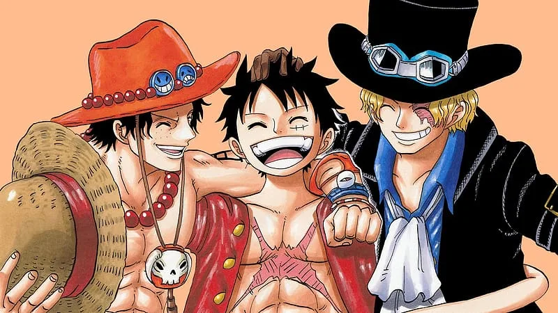 Ace Luffy y Sabo de pequenos hermanos de sake One Piece manga